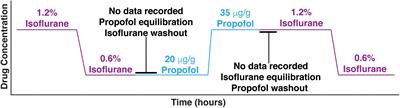 Coherence of Visual-Evoked Gamma Oscillations Is Disrupted by Propofol but Preserved Under Equipotent Doses of Isoflurane